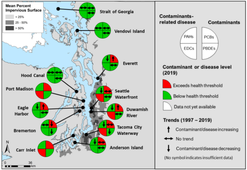 2020EnglishSoleVS_FinalMapCrop_resized.png